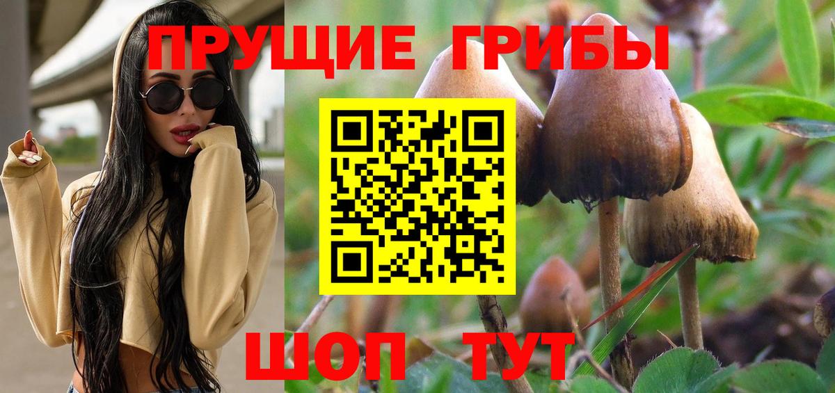 Псилоцибиновые грибы MAGIC MUSHROOMS Сосновоборск