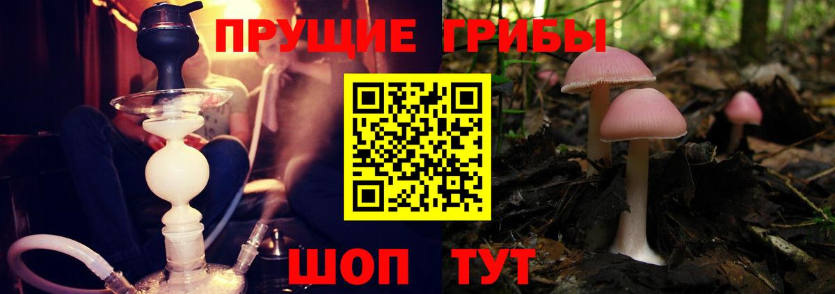 Псилоцибиновые грибы Magic Shrooms  Галлюциногенные грибы GOLDEN TEACHER  Сосновоборск  Вход с VPN 
